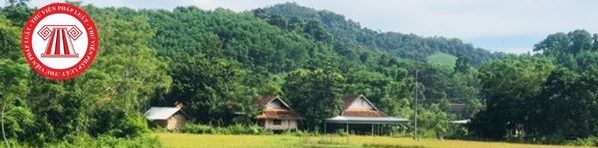 Phòng nông nghiệp và phát triển nông thôn