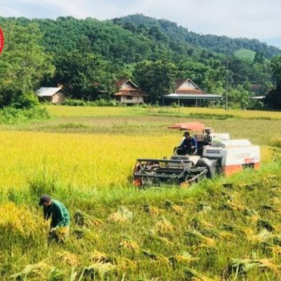 Phòng nông nghiệp và phát triển nông thôn